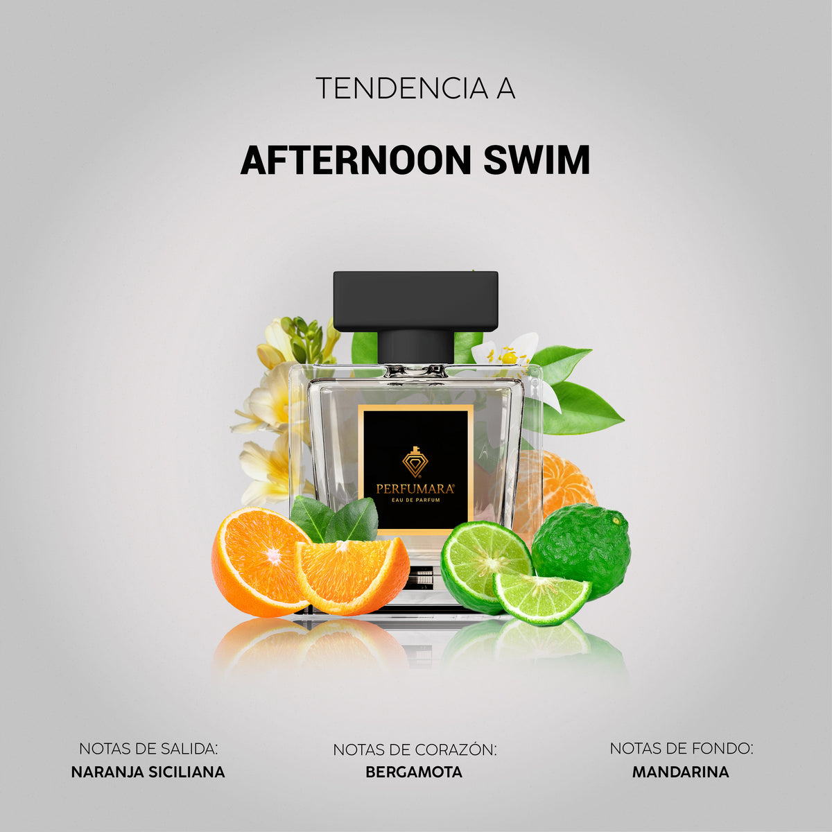 Tendencia a Afternoon Swim