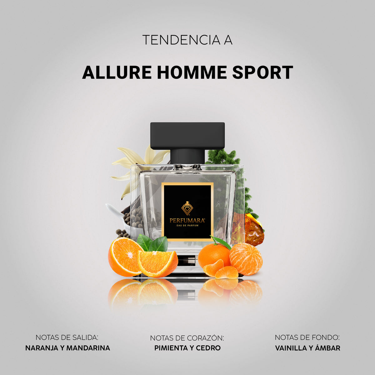 Tendencia a Allure Homme Sport