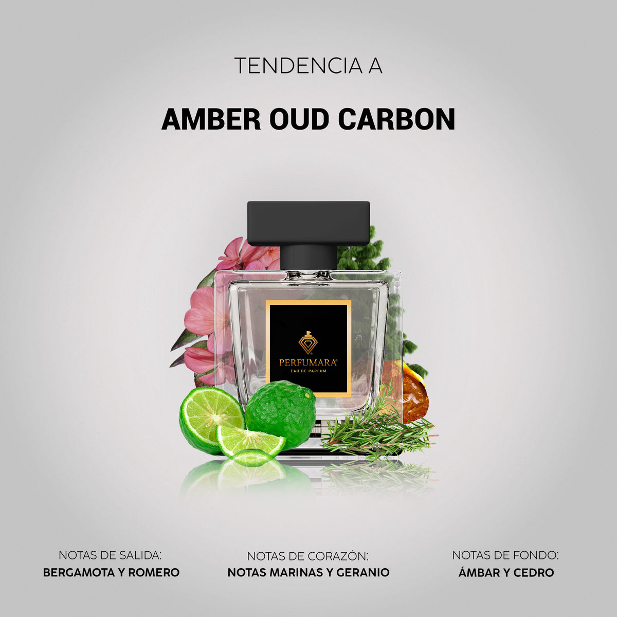 Tendencia a Amber Oud Carbón