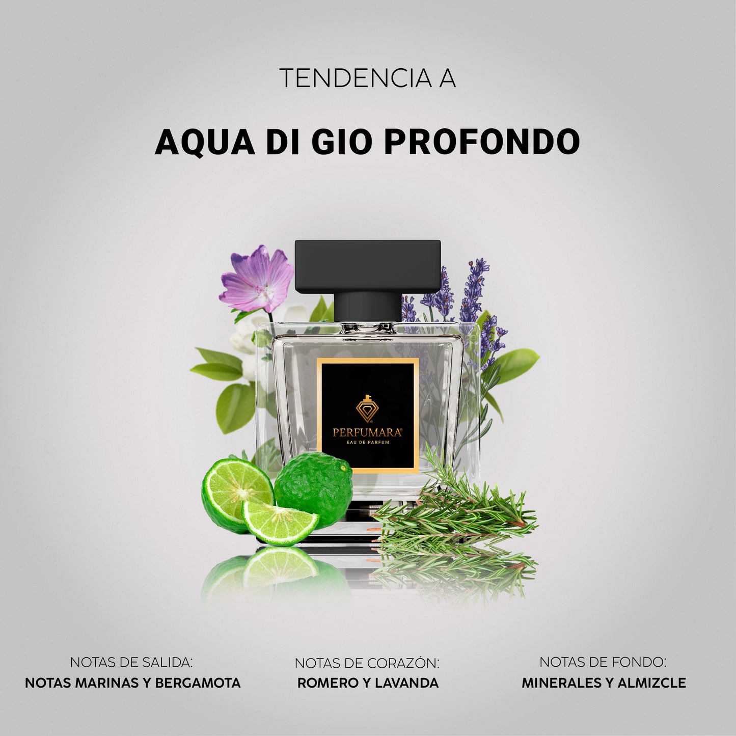 Tendencia a CAqua De Gio Profondo
