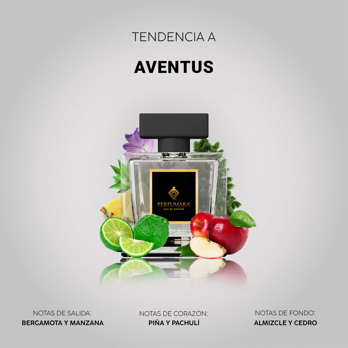 Tendencia a Aventus