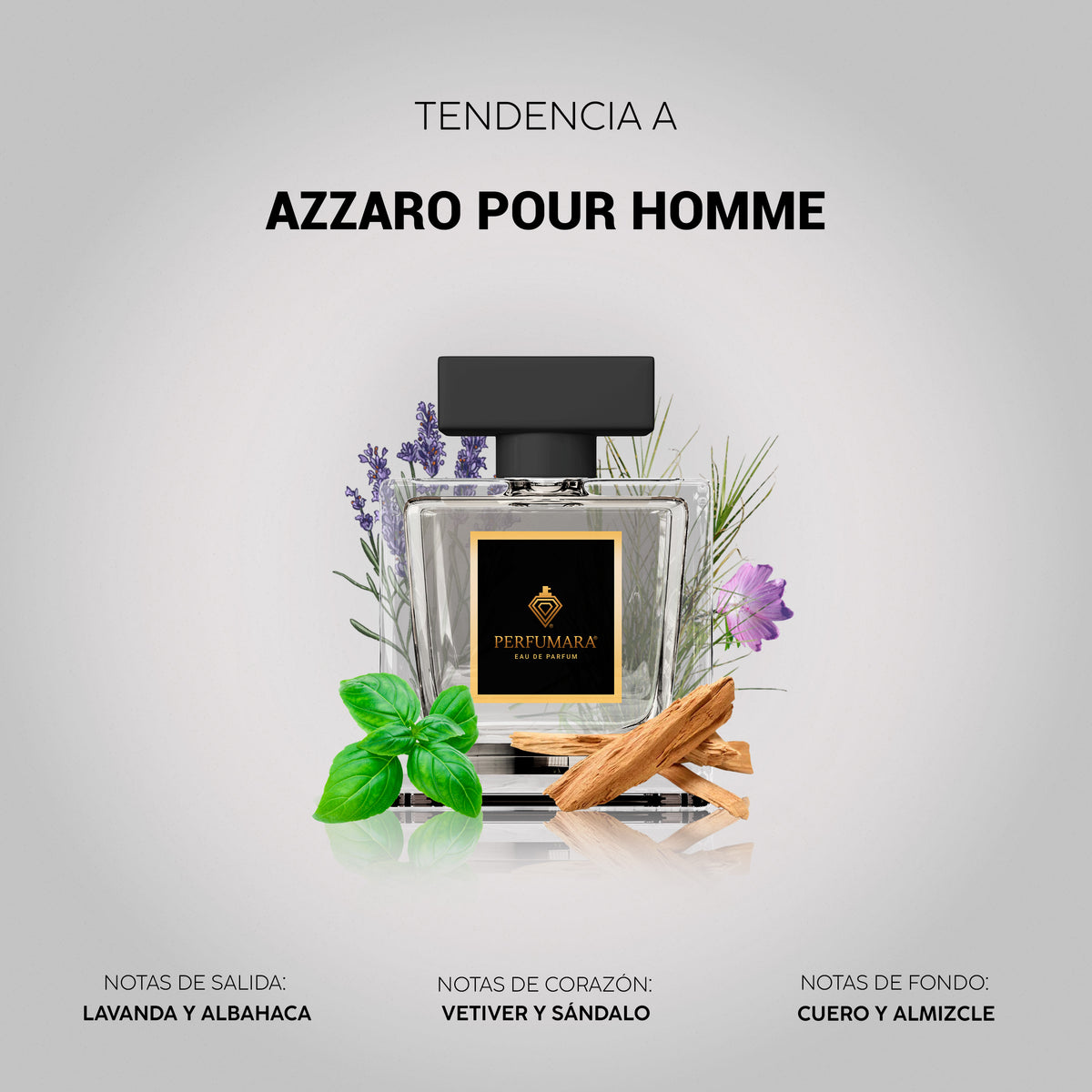 Tendencia a Azzaro pour homme