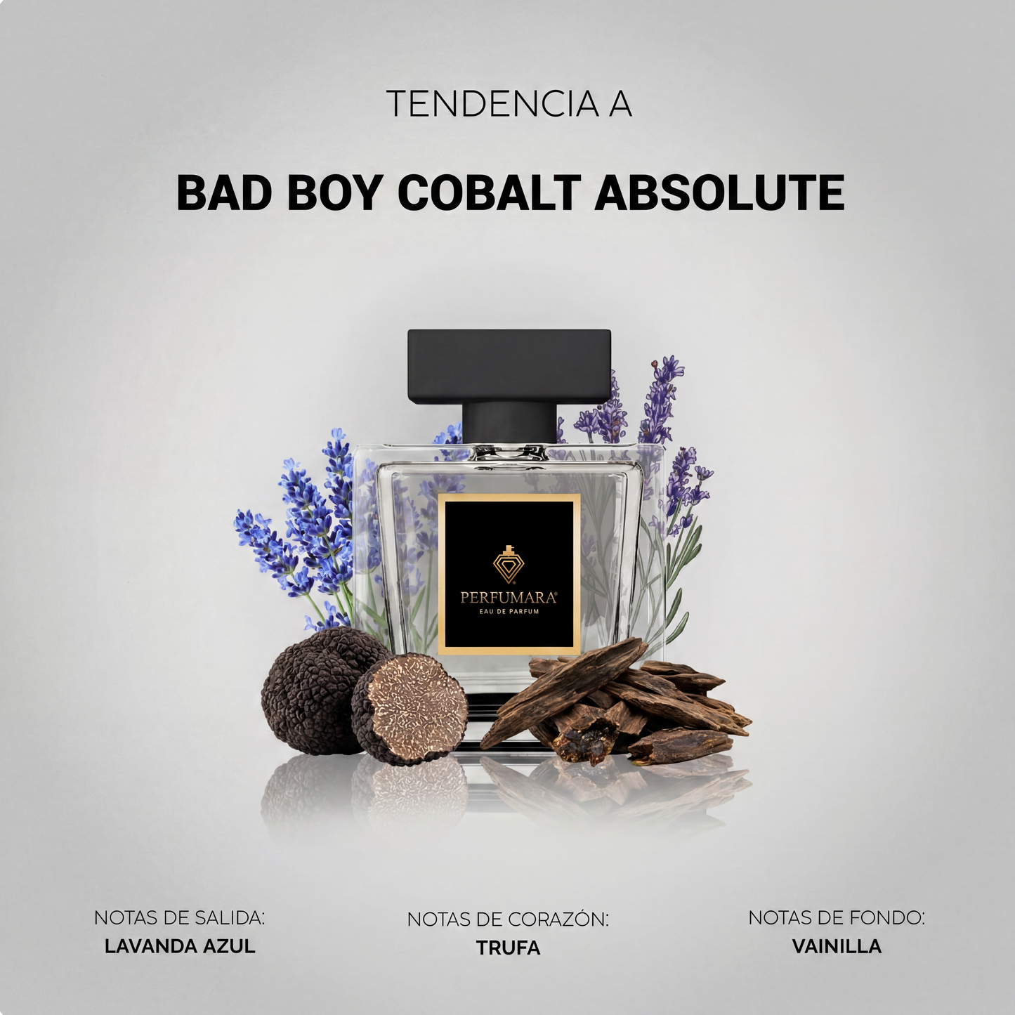 Tendencia  a CBad Boy Cobalt Absolute