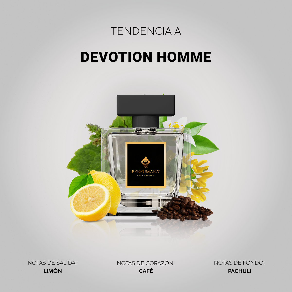 Tendencia a Devotion Homme