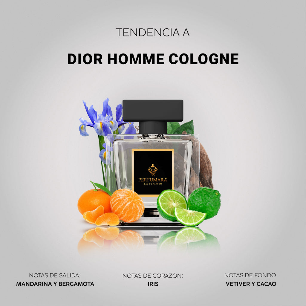 Tendencia a Dior Homme Cologne
