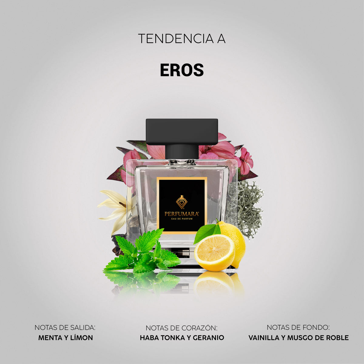 Tendencia a Eros