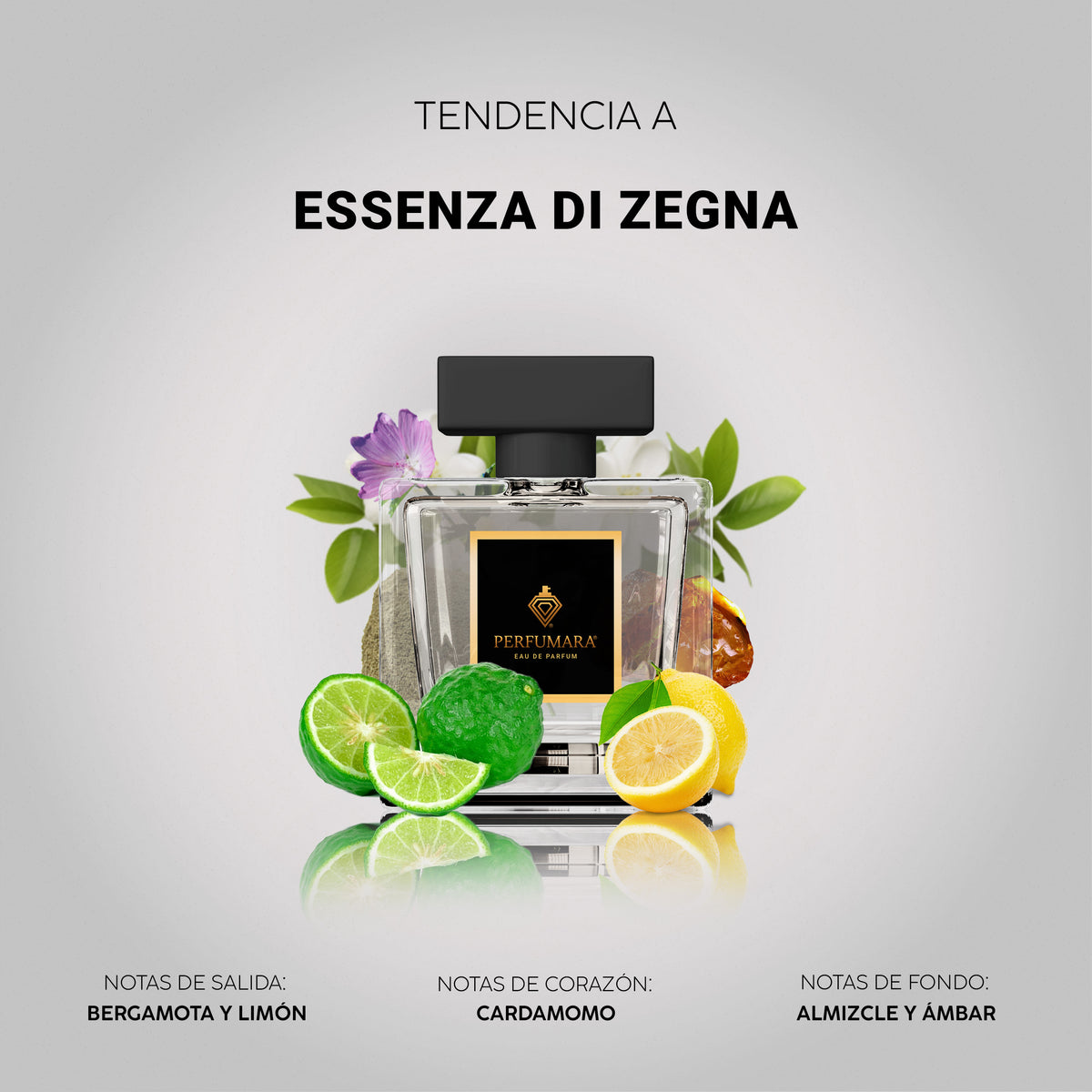 Tendencia a Essenza di Zegna