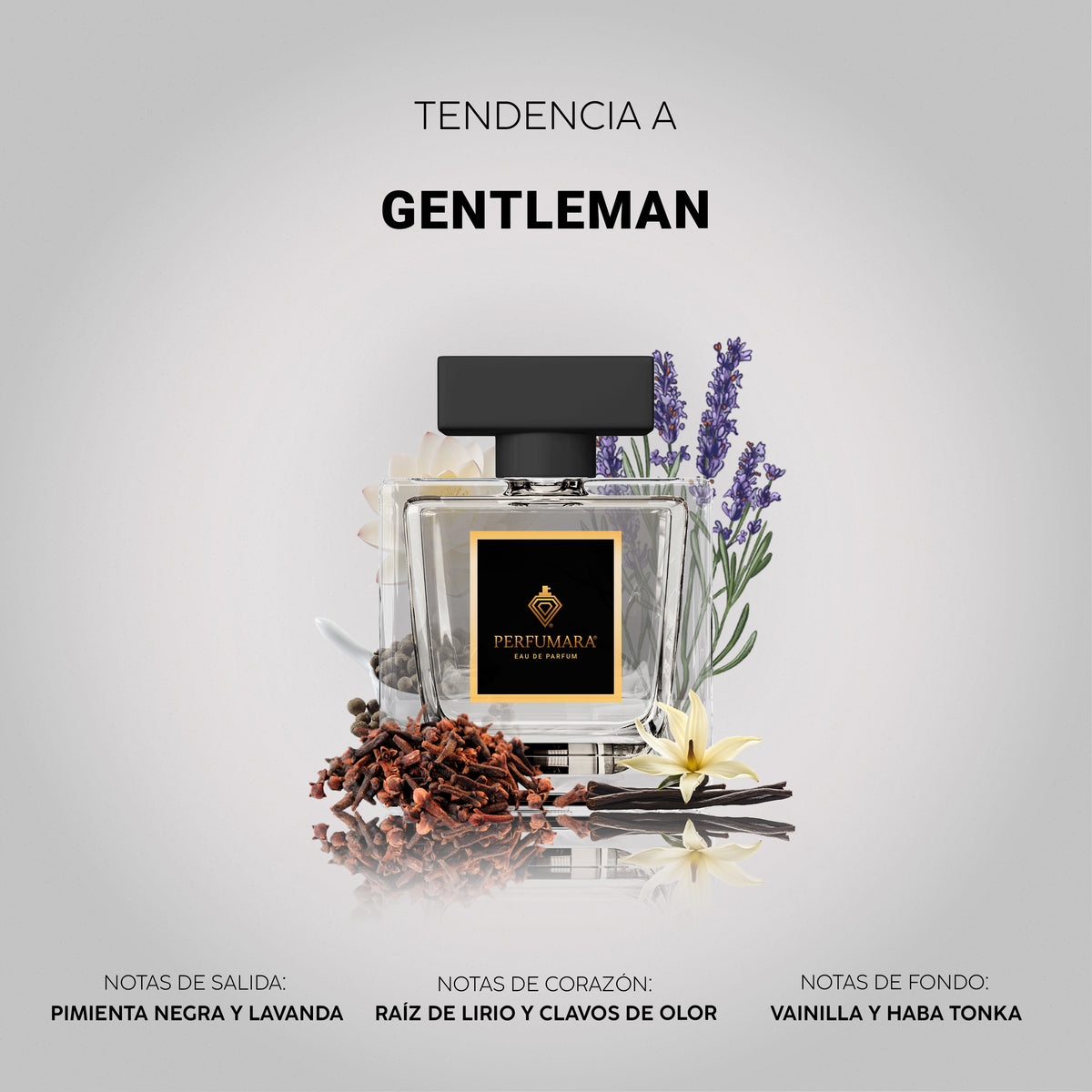 Tendencia a Gentleman