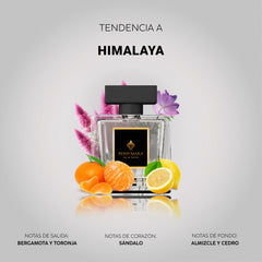 60 ML
