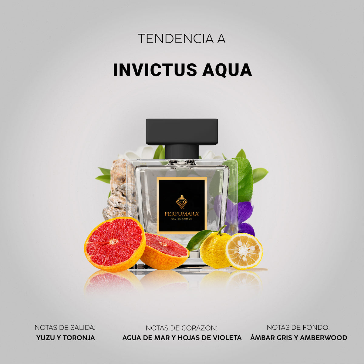 Tendencia a Invictus Aqua