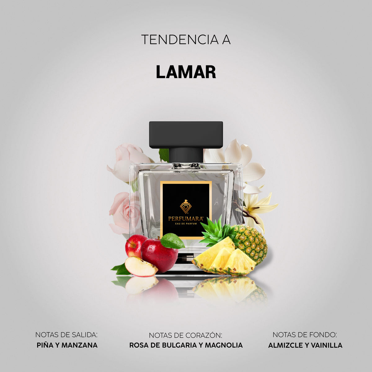 Tendencia a Lamar Kajal