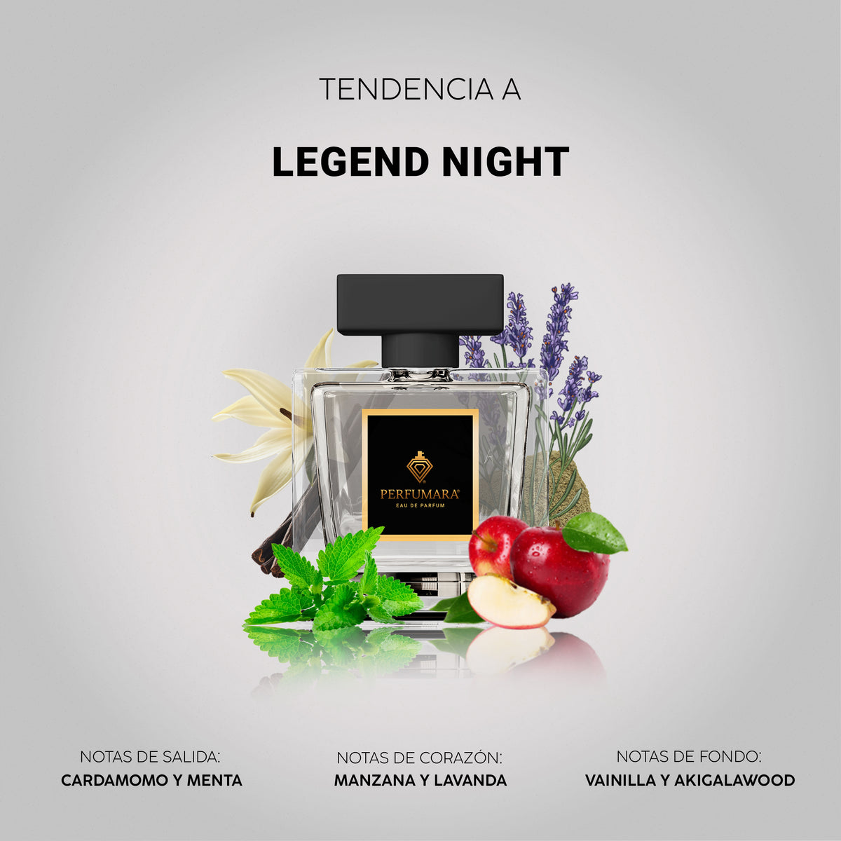 Tendencia a Legend Night