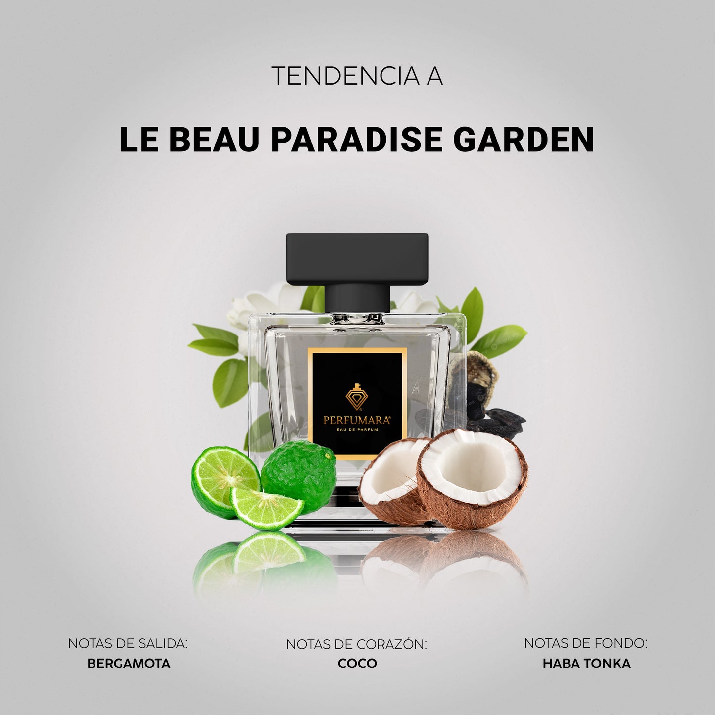 Tendencia a CLe Beau Paradise