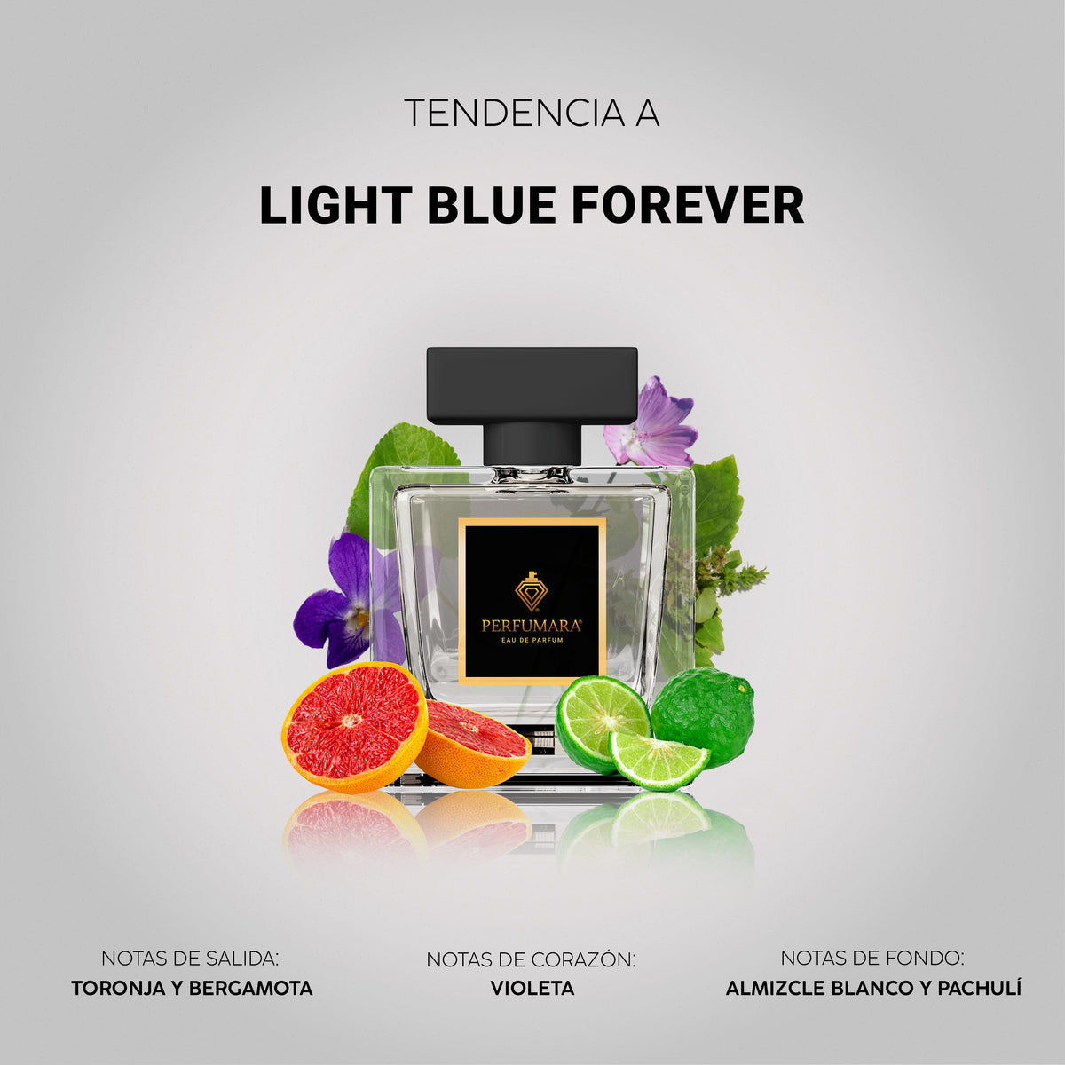 Tendencia a Light Blue Forever