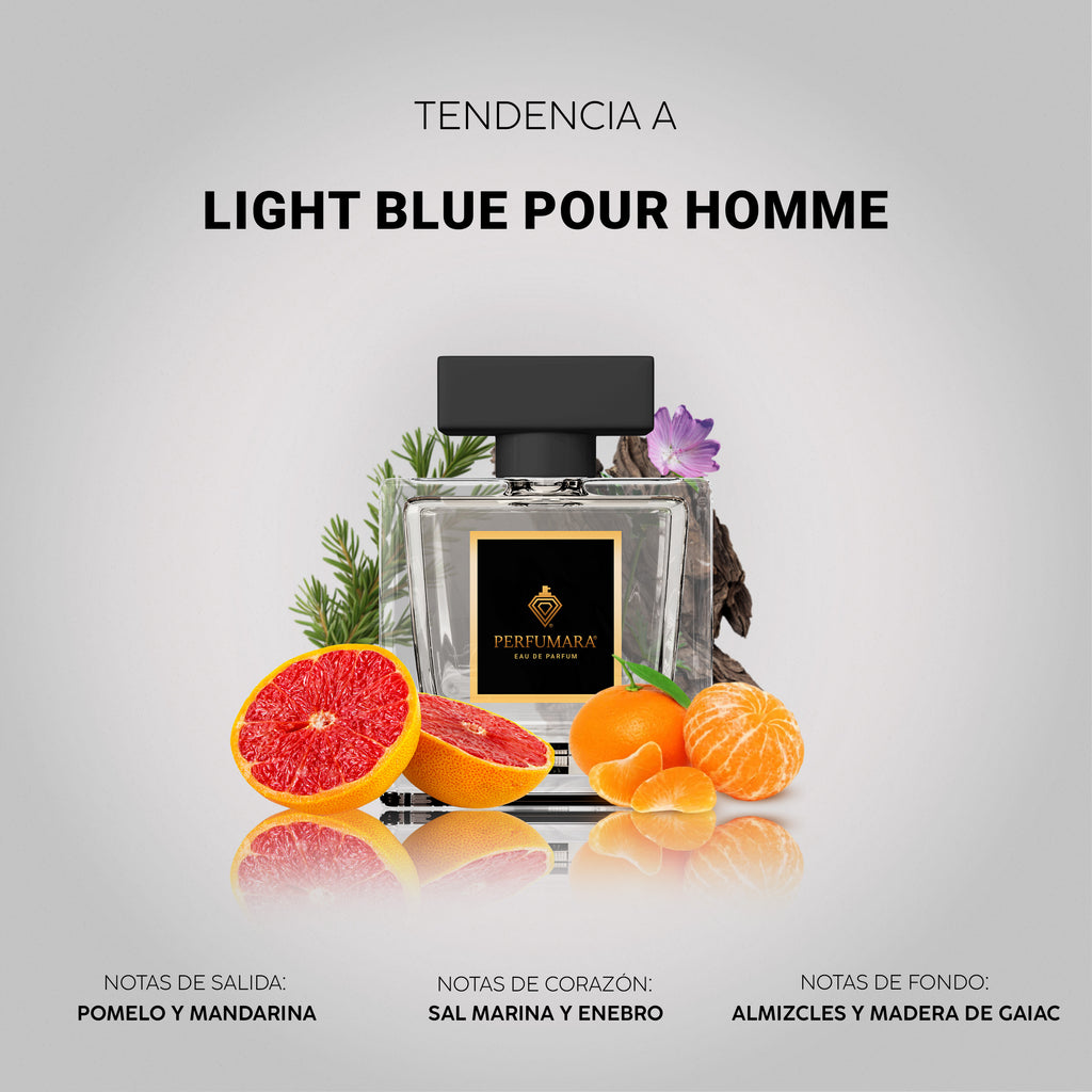 Tendencia a Light Blue Pour Homme