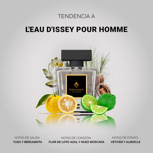 Tendencia a CL'Eau d'Issey Pour Homme