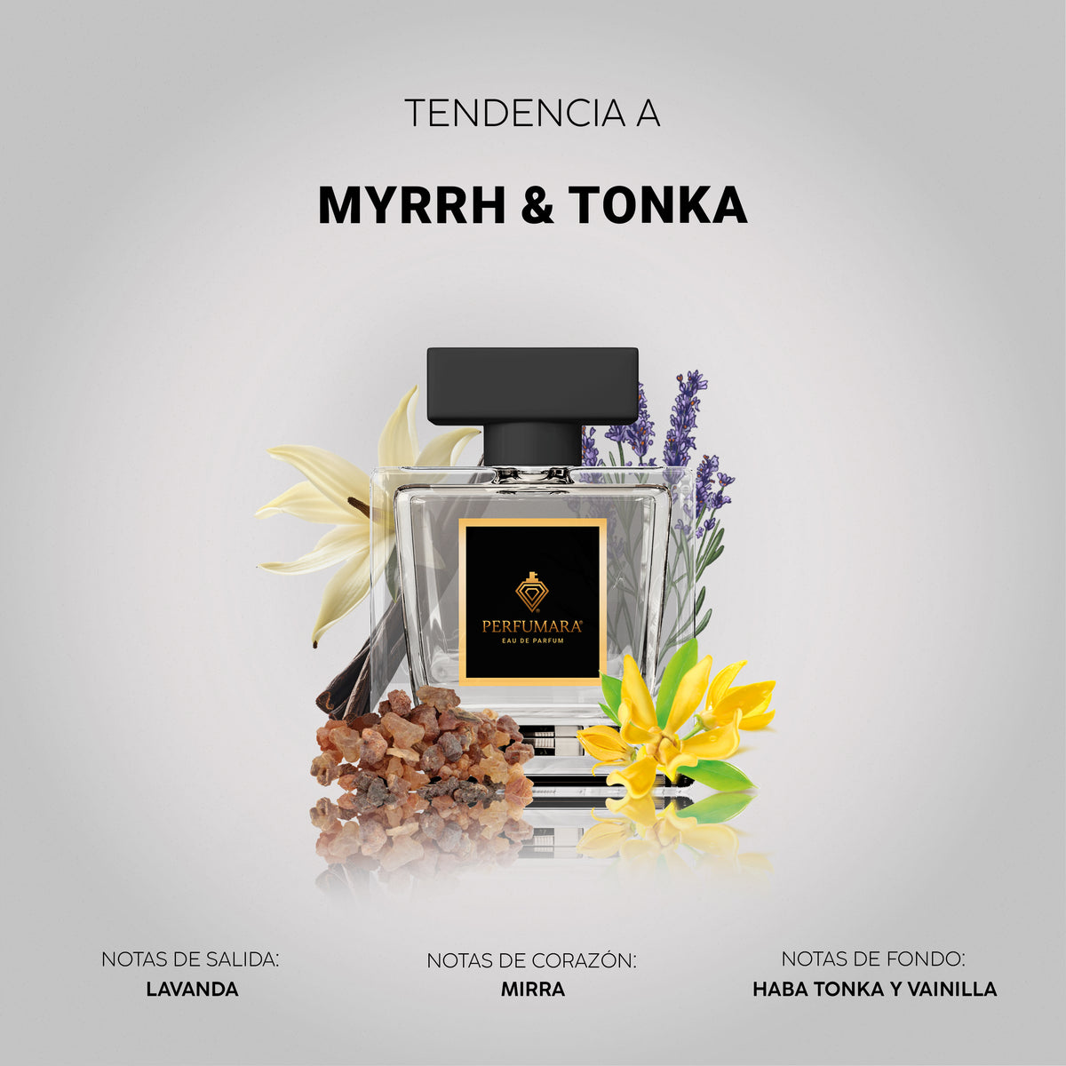 Tendencia a UMYRRH Y TONKA