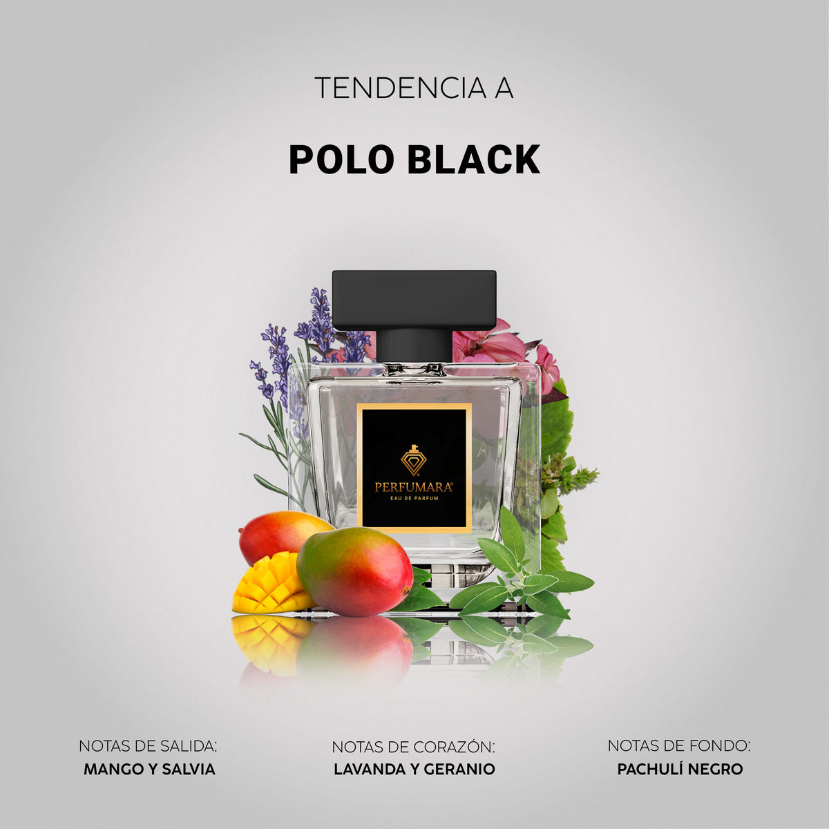 Tendencia a Polo Black