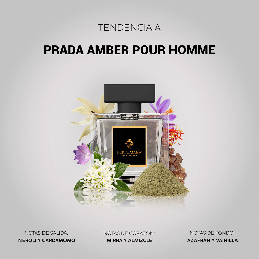 Tendencia a Prada Amber Pour Homme