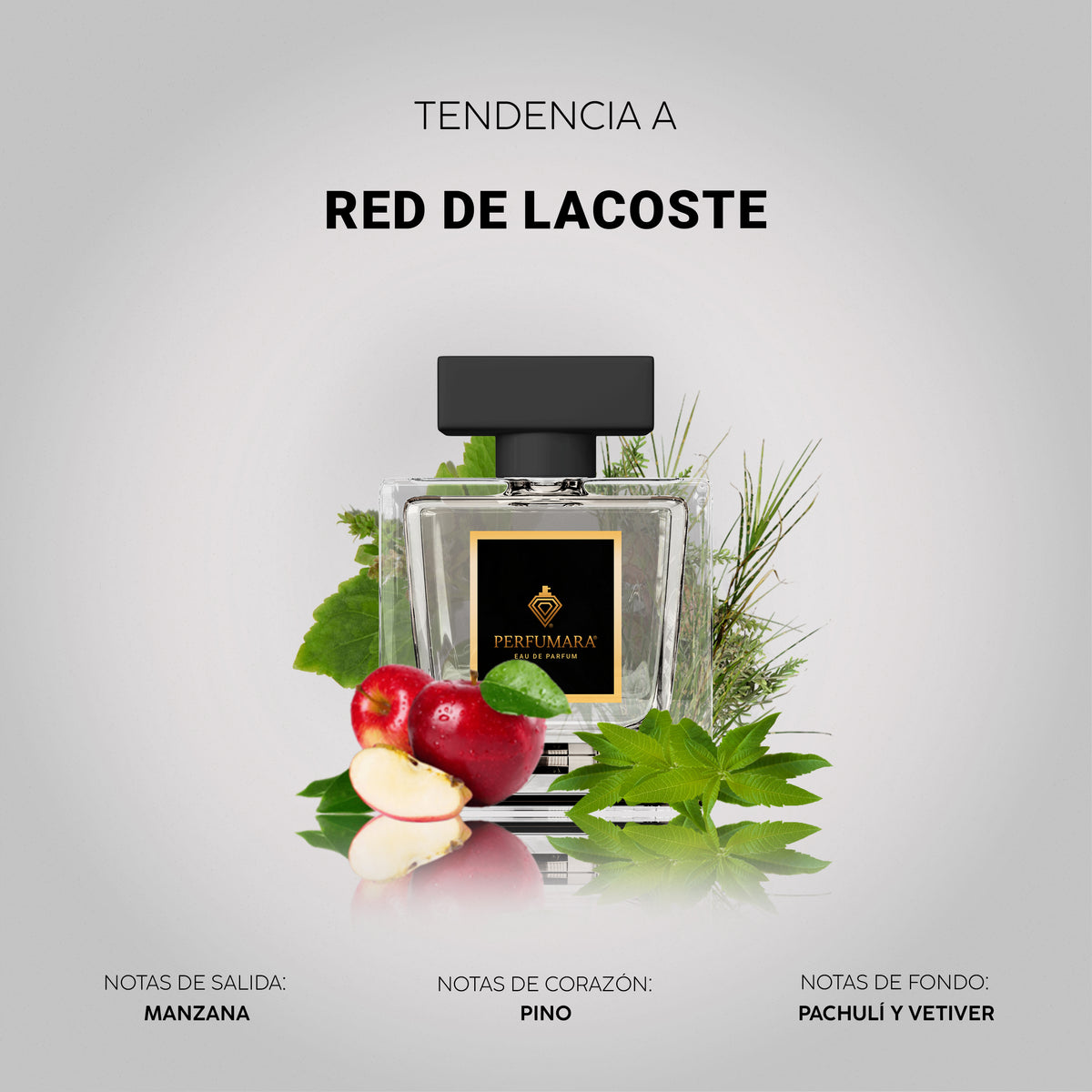 Tendencia a Red de Lacoste Fragrances