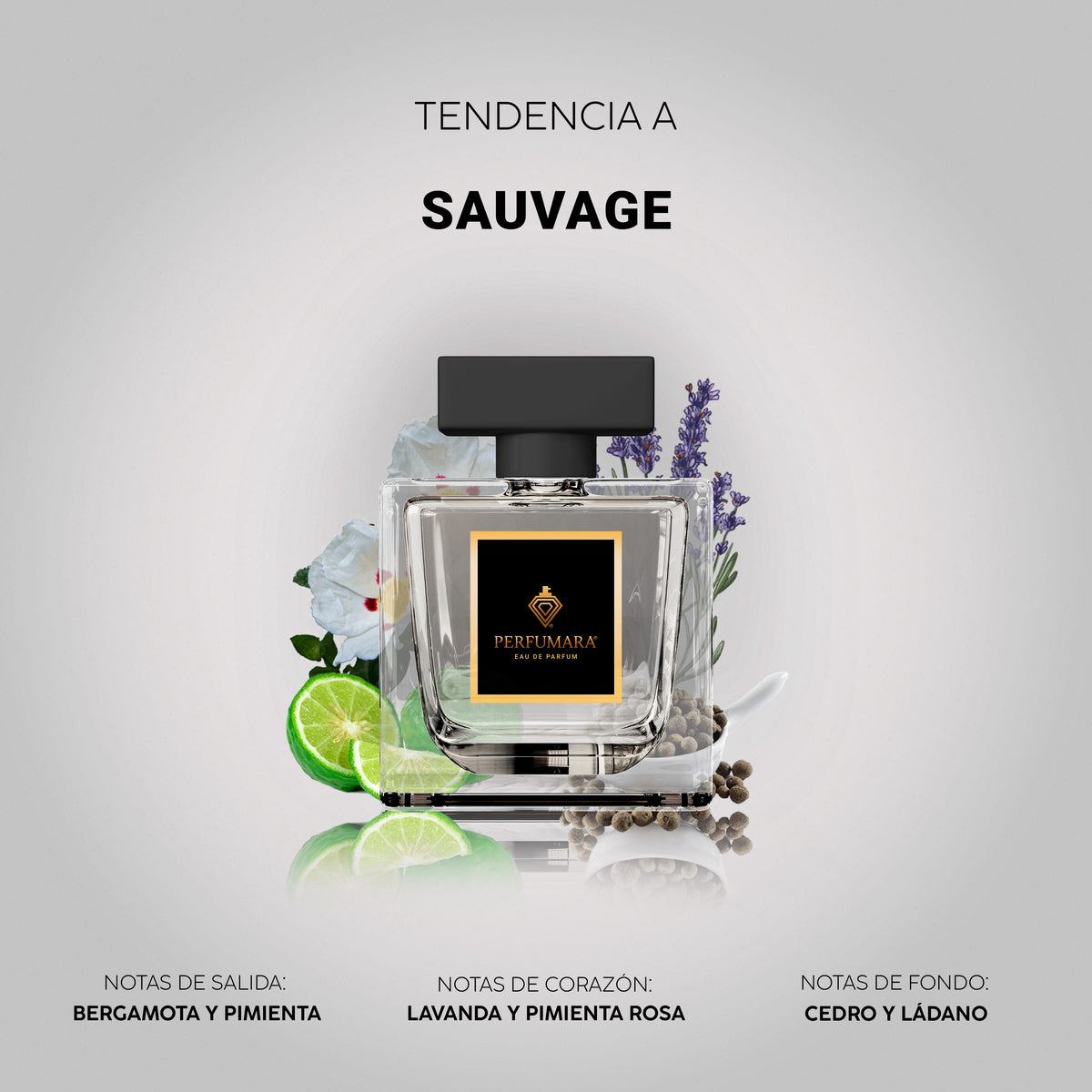 Tendencia a Sauvage