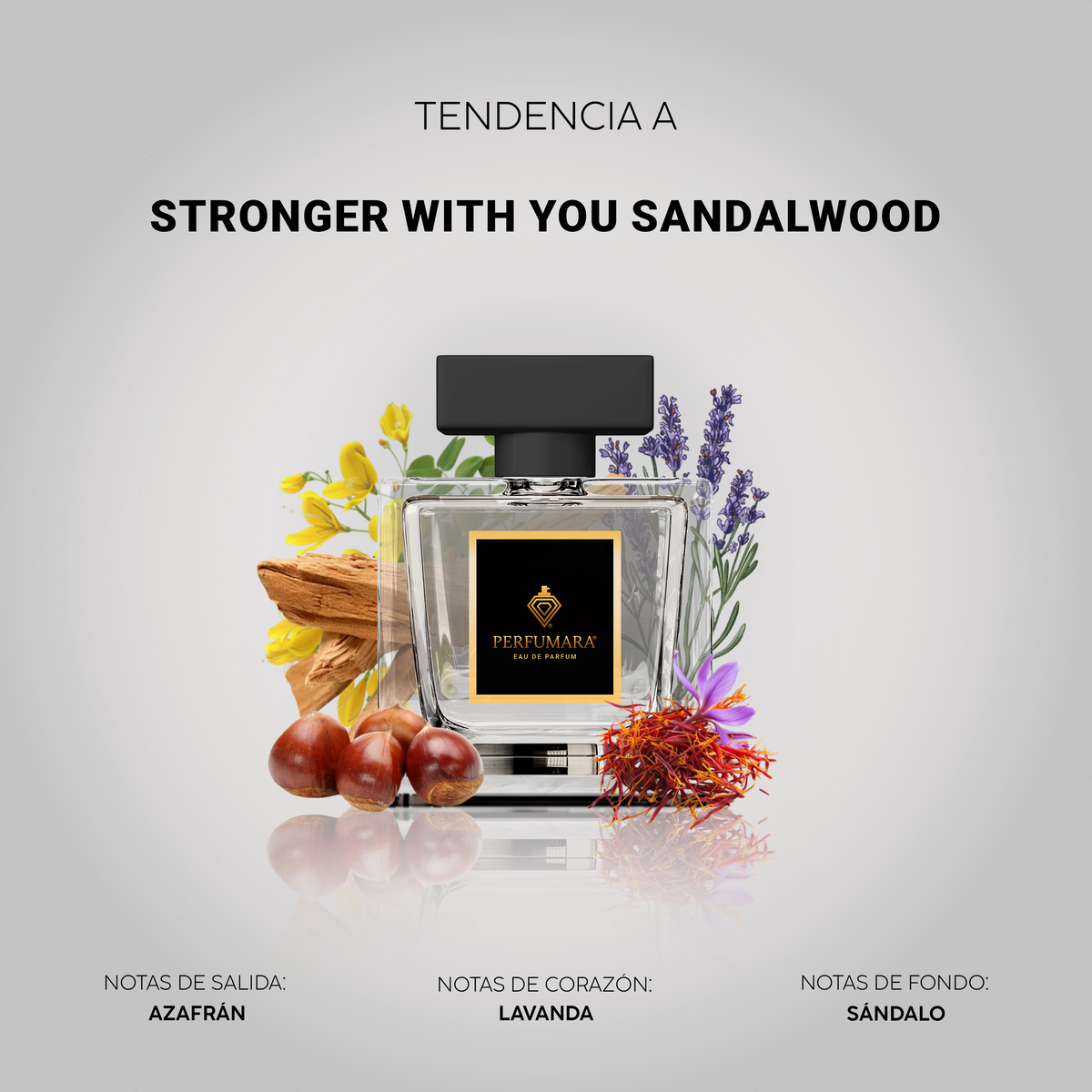 Tendencia a Stronger With You Sandalwood