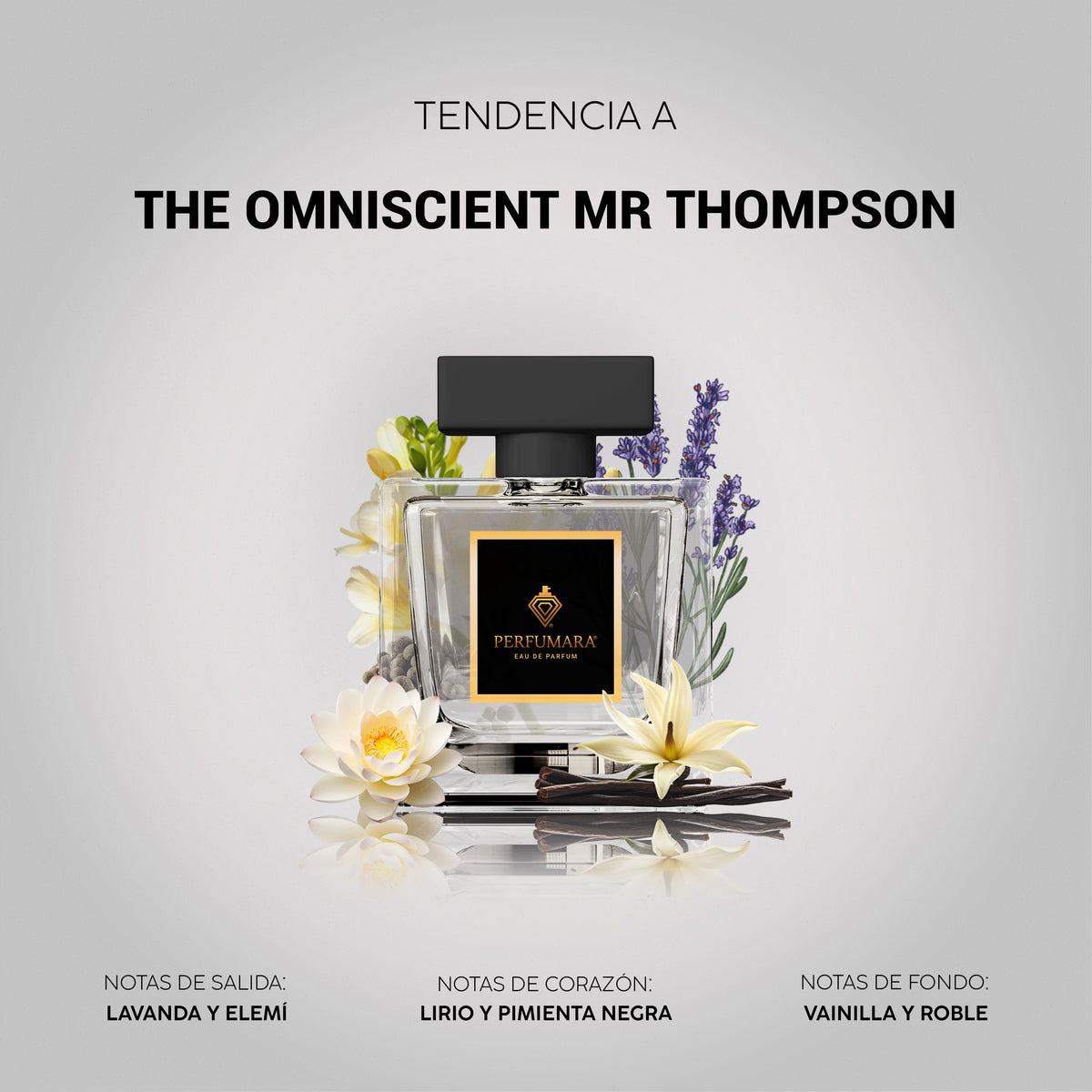 Tendencia a The Omniscient Mr Thompson