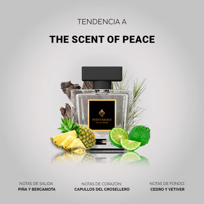 Tendencia a UThe Scent Of Peace