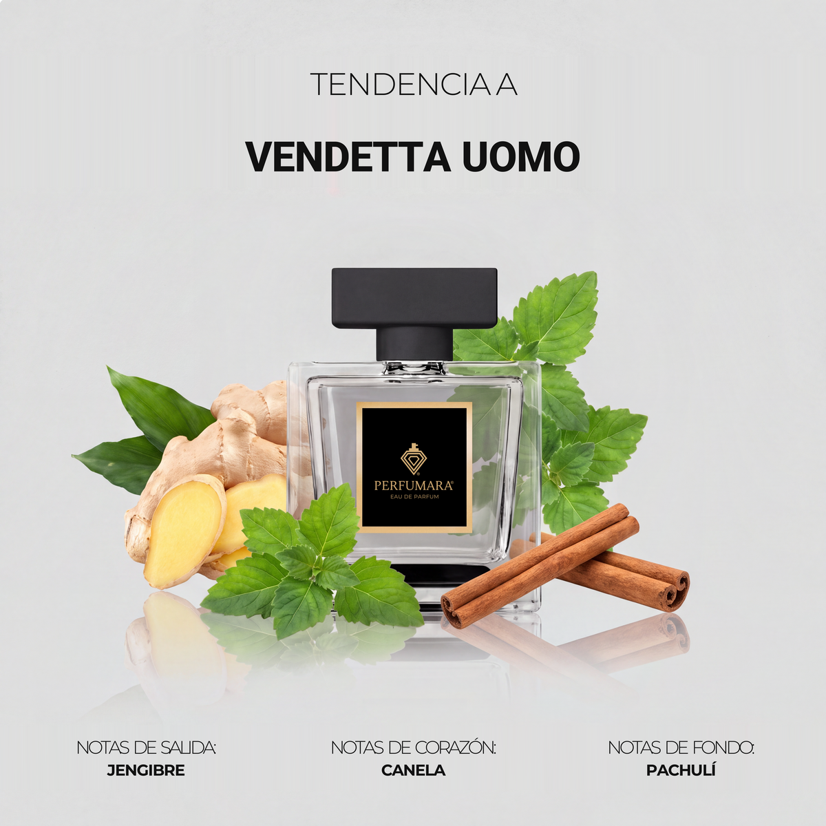 Tendencia a CVendetta Donna