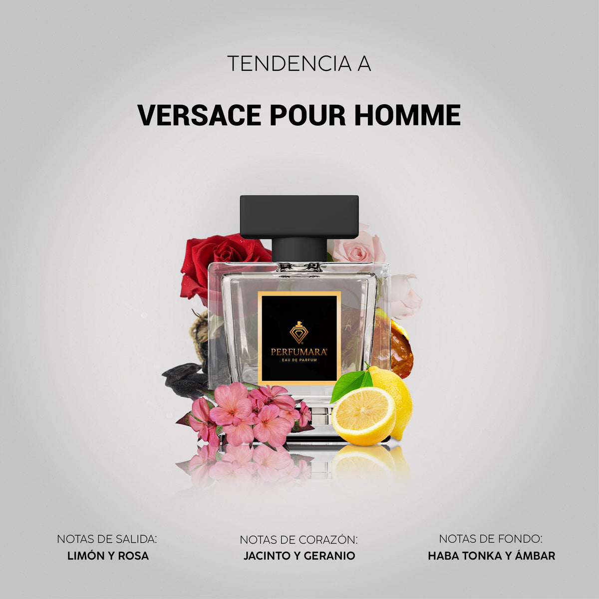 Tendencia a Versace Pour Homme