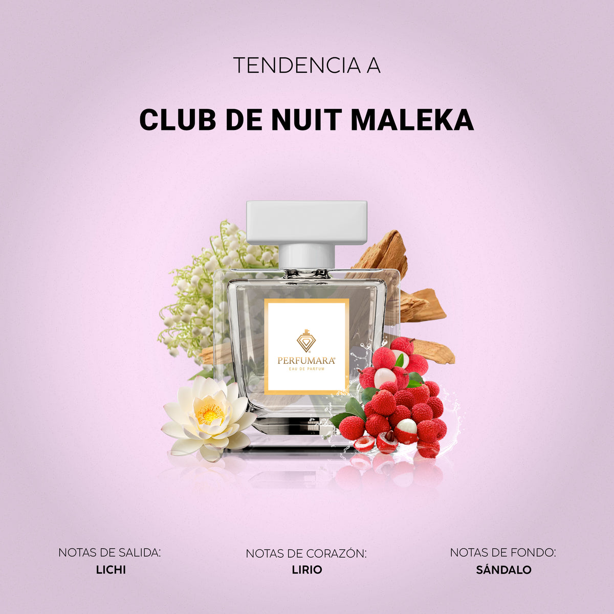 Tendencia a Club De Nuit Maleka Armaf