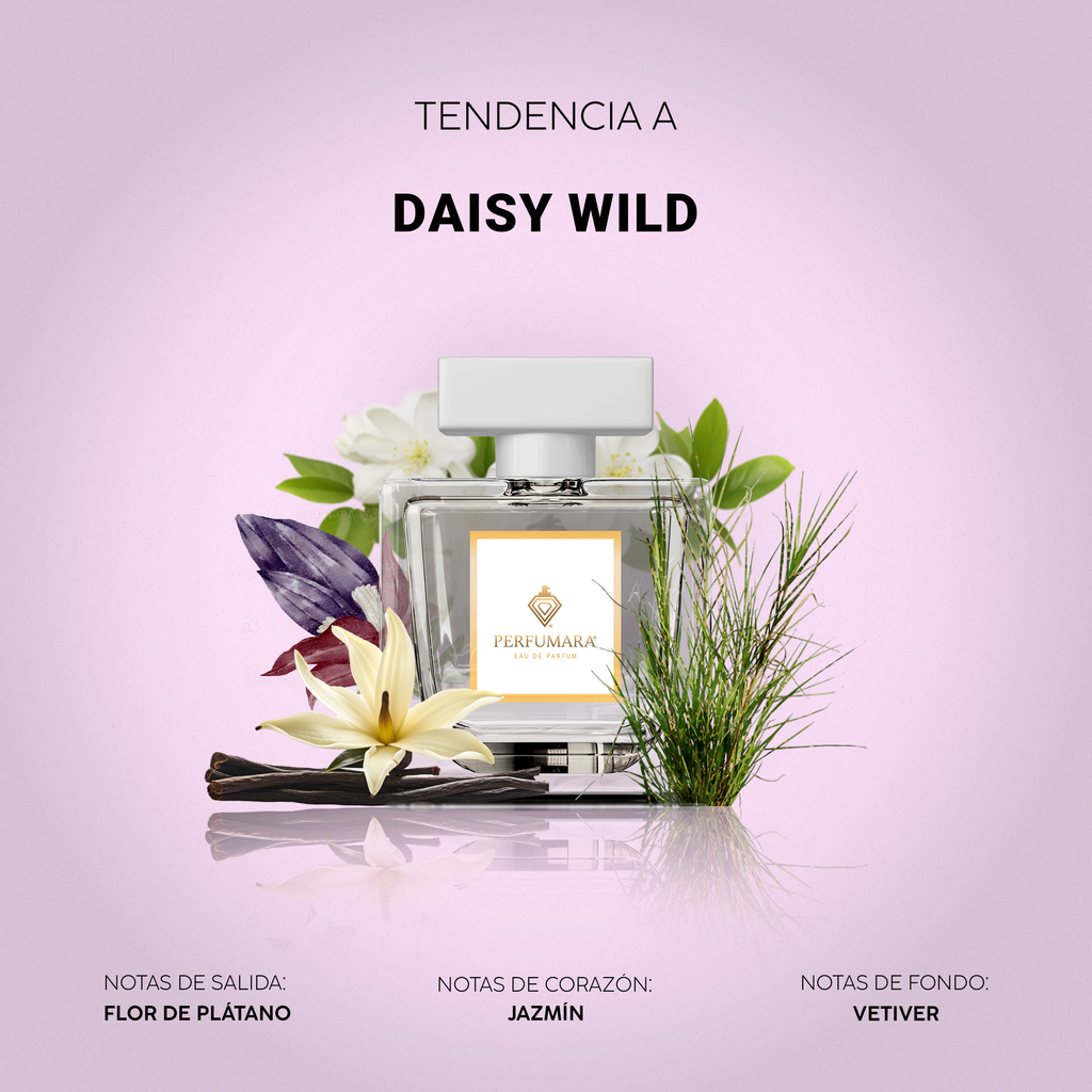 Tendencia a Daisy Wild