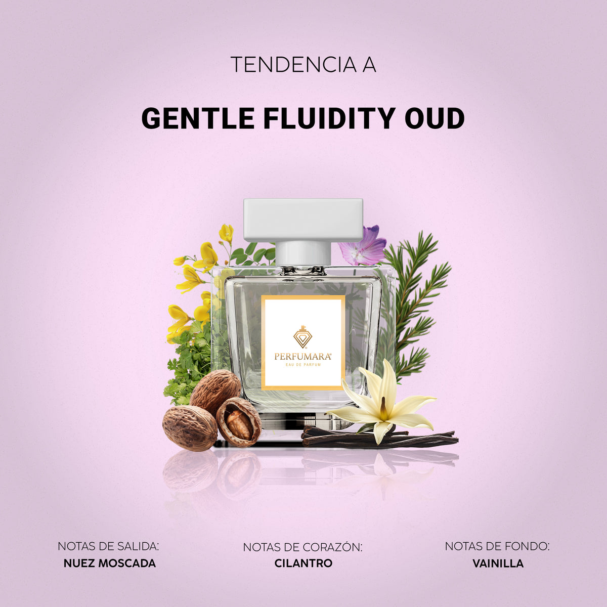 Tendencia a Gentle Fluidity Oud