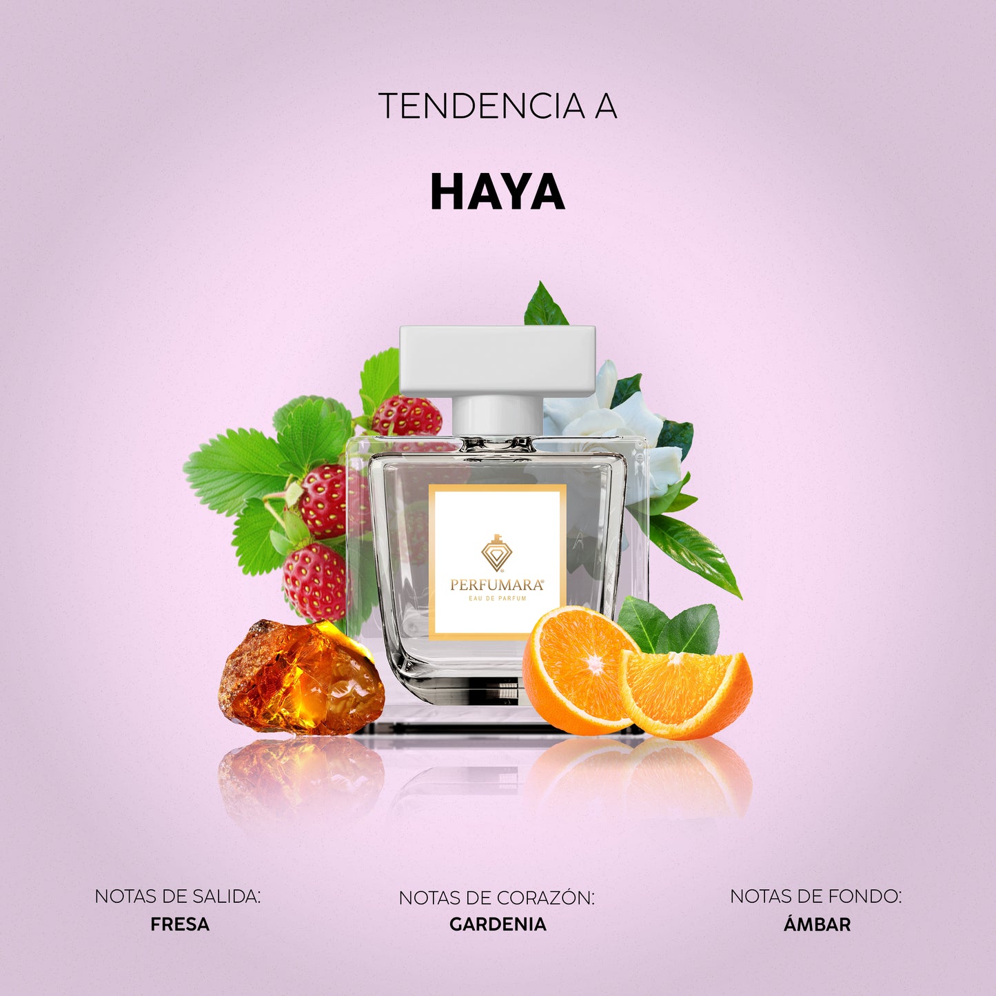 Tendencia a Haya