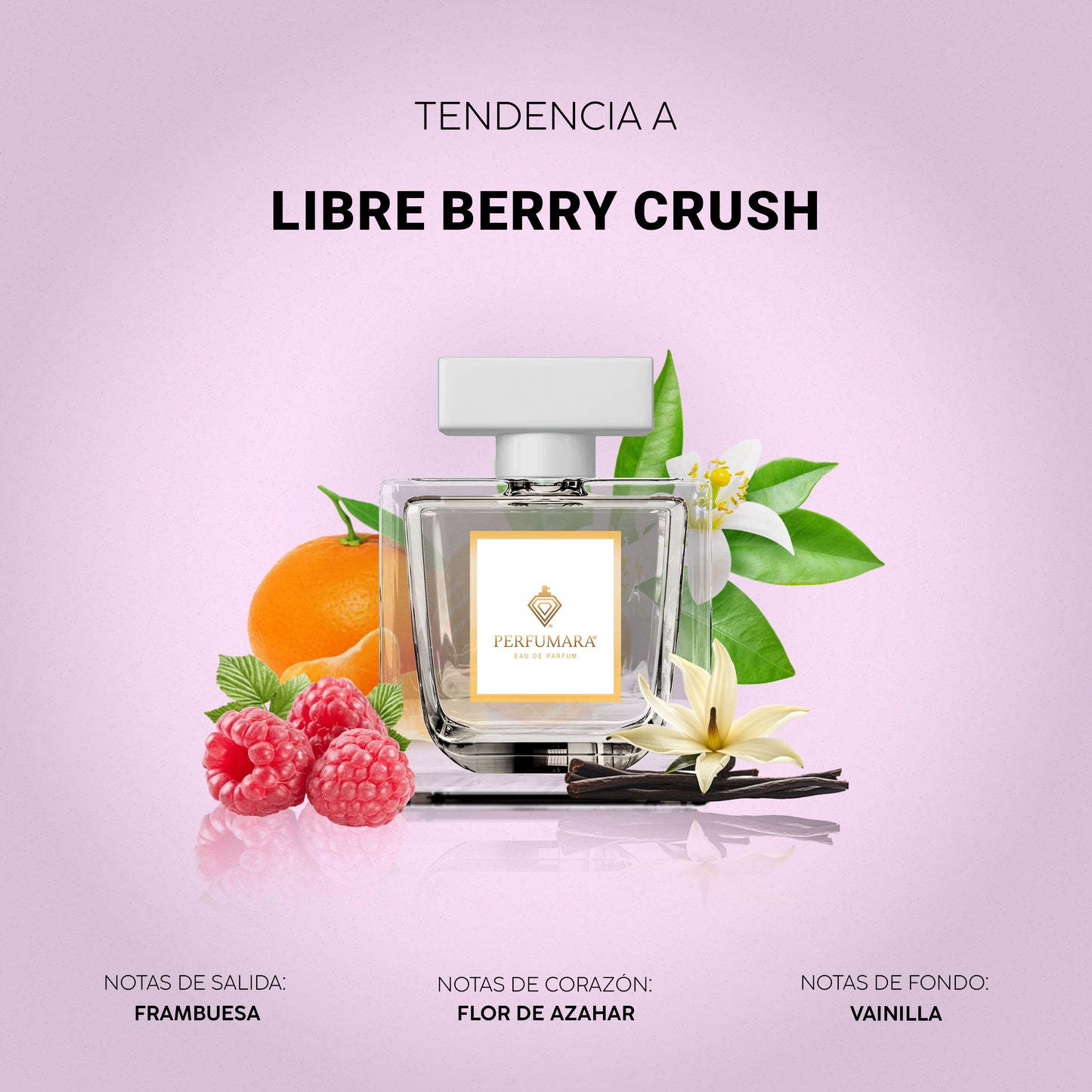 Tendencia a DLibre Berry Crush