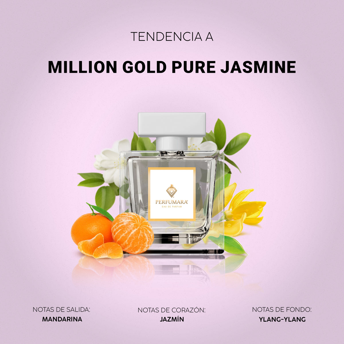Tendencia a La Nuit Trésor Vanille Noire