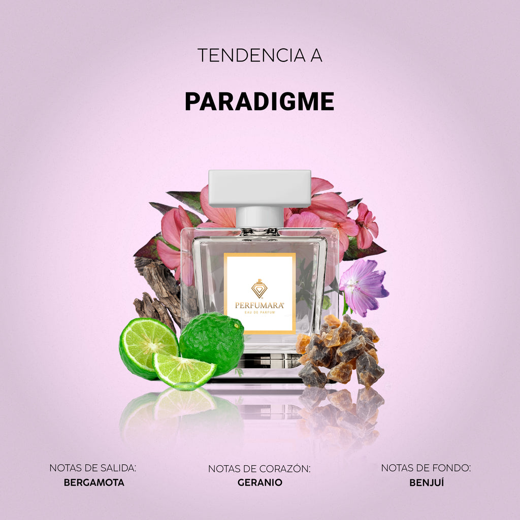 Tendencia a Paradigme Dama