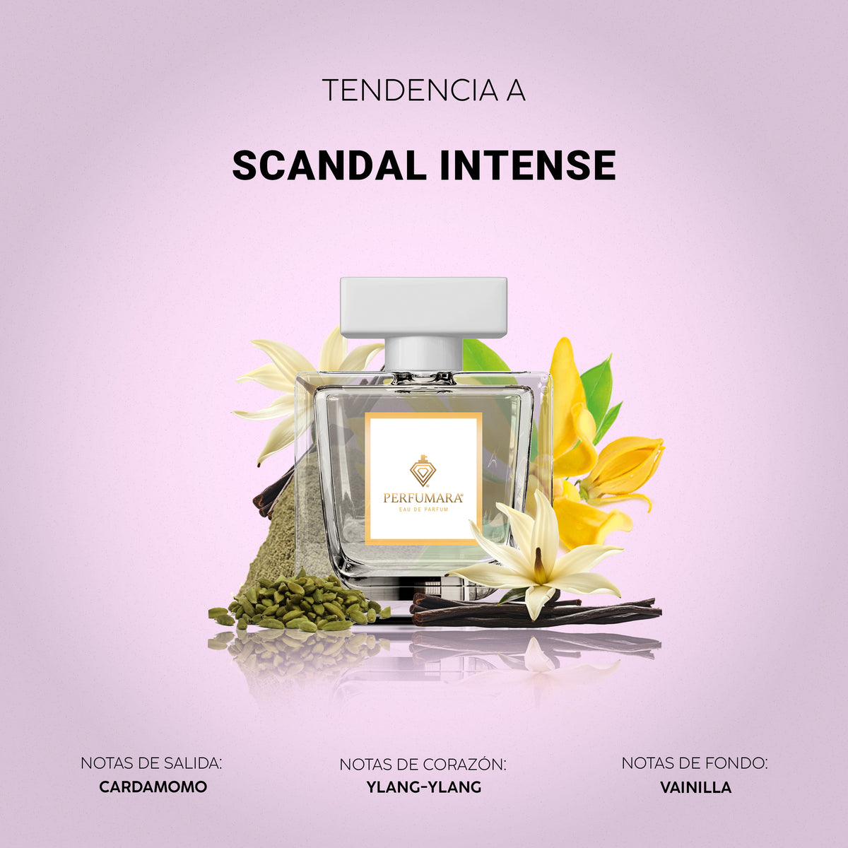 Tendencia a Scandal Intense