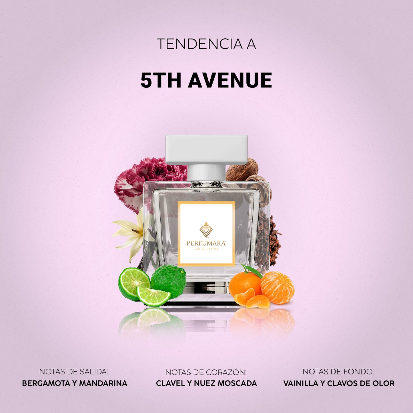 Tendencia a D5th Avenue
