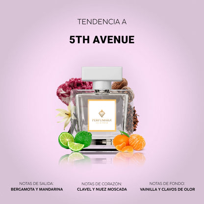Tendencia a D5th Avenue