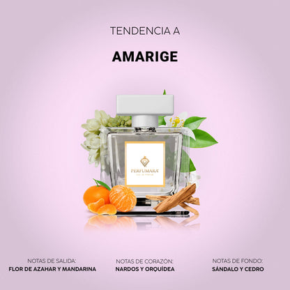Tendencia a DAmarige
