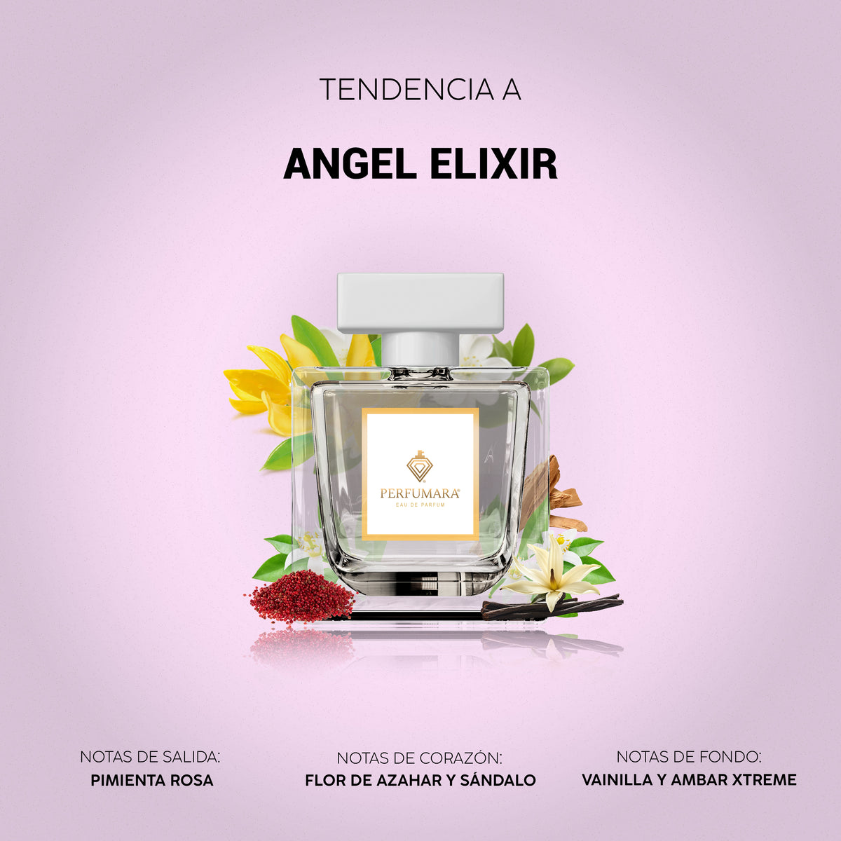 Tendencia a Angel Elixir