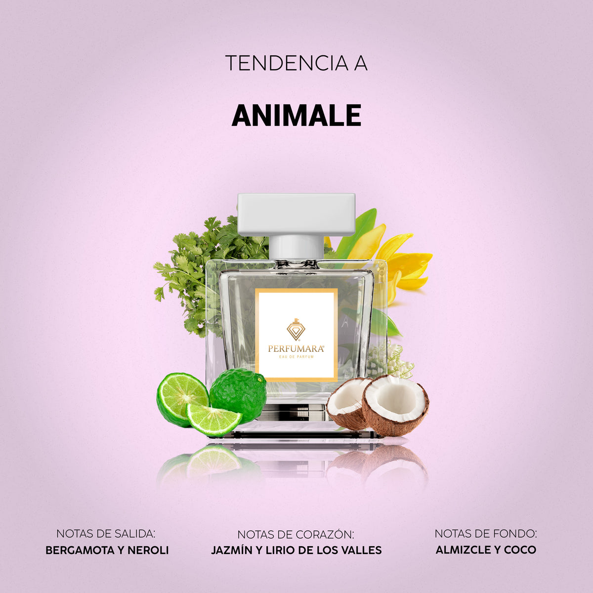 Tendencia a Animale