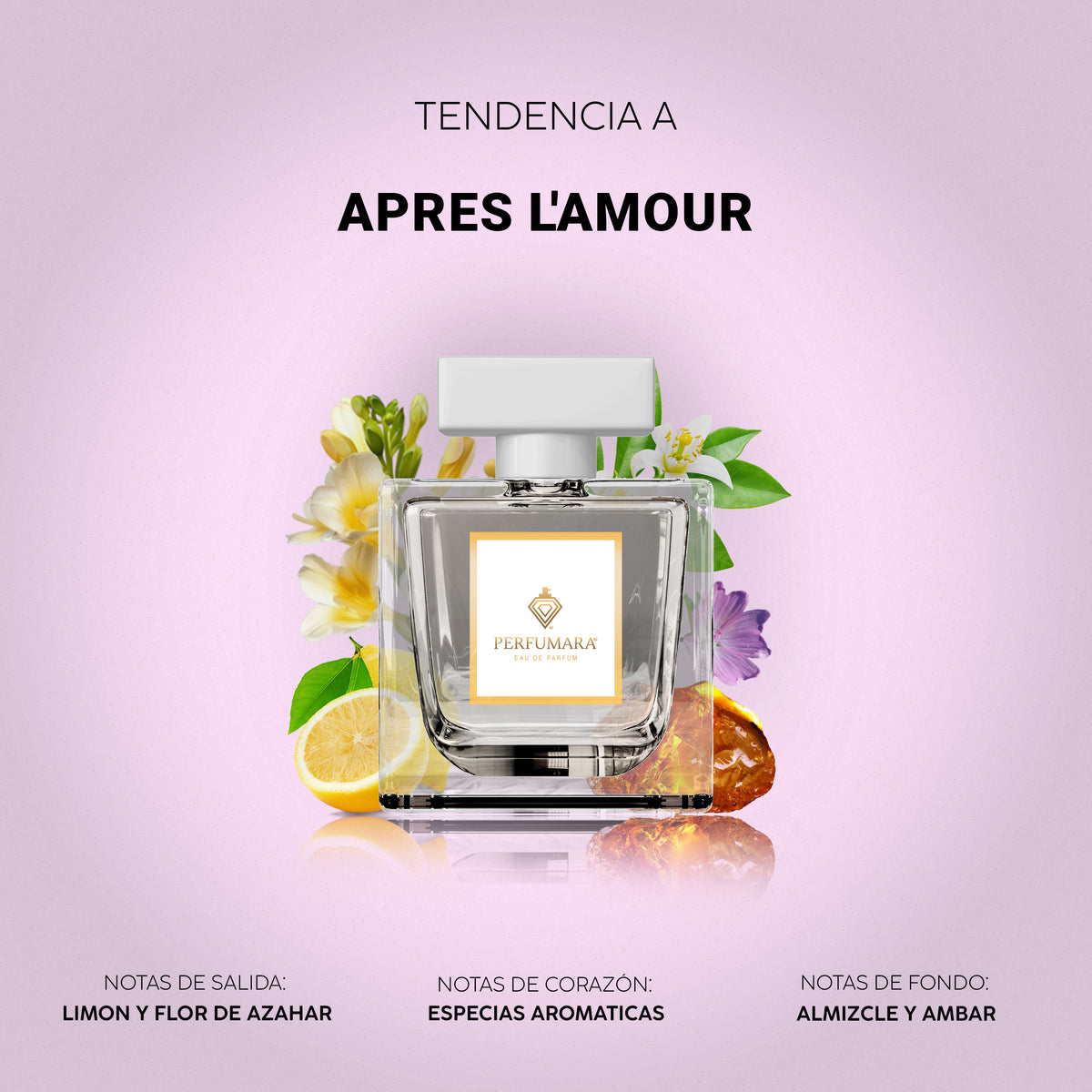 Tendencia a Après l’Amour