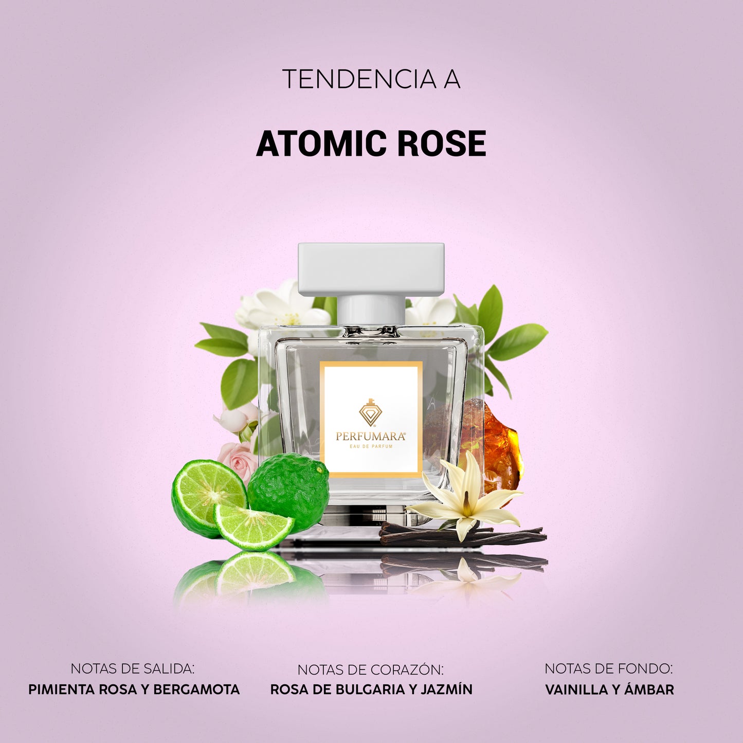 Tendencia a DAtomic Rose