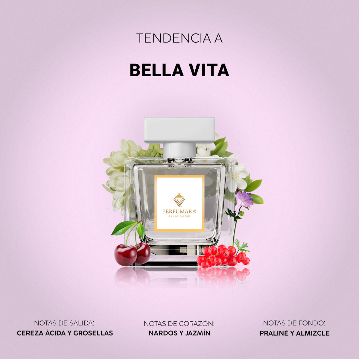 Tendencia a Bella Vita