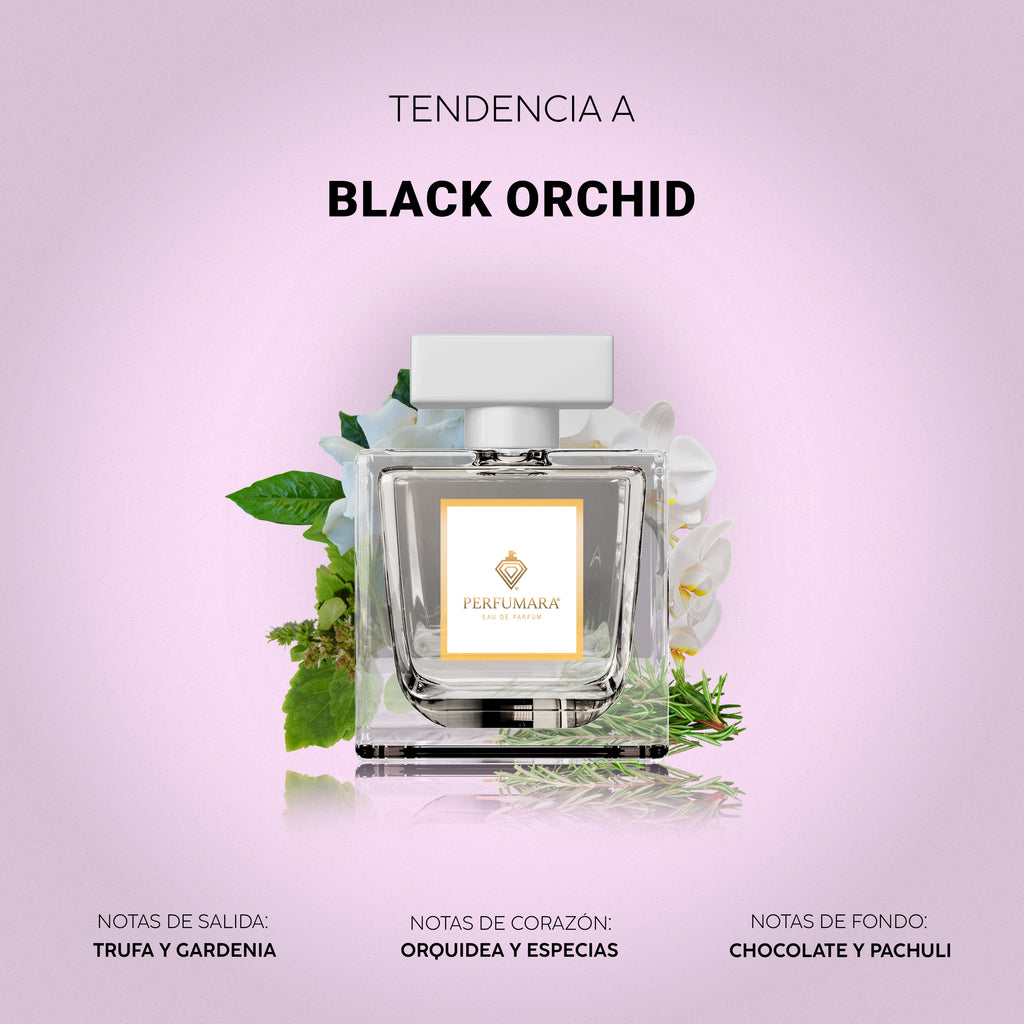 Tendencia a Black Orchid