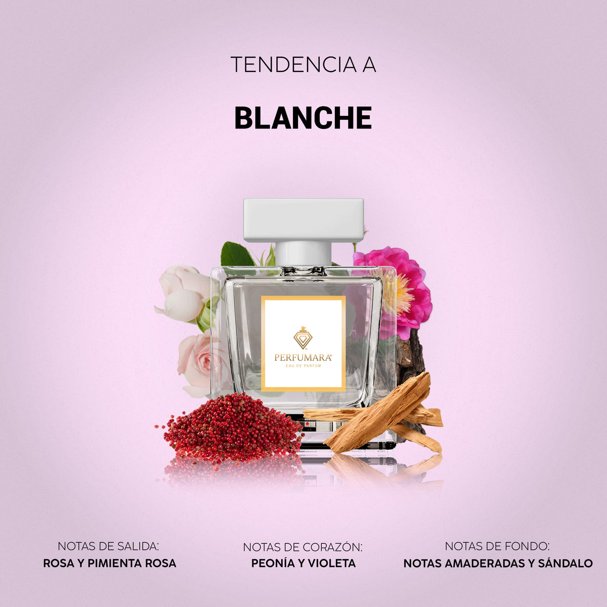 Tendencia a Blanche