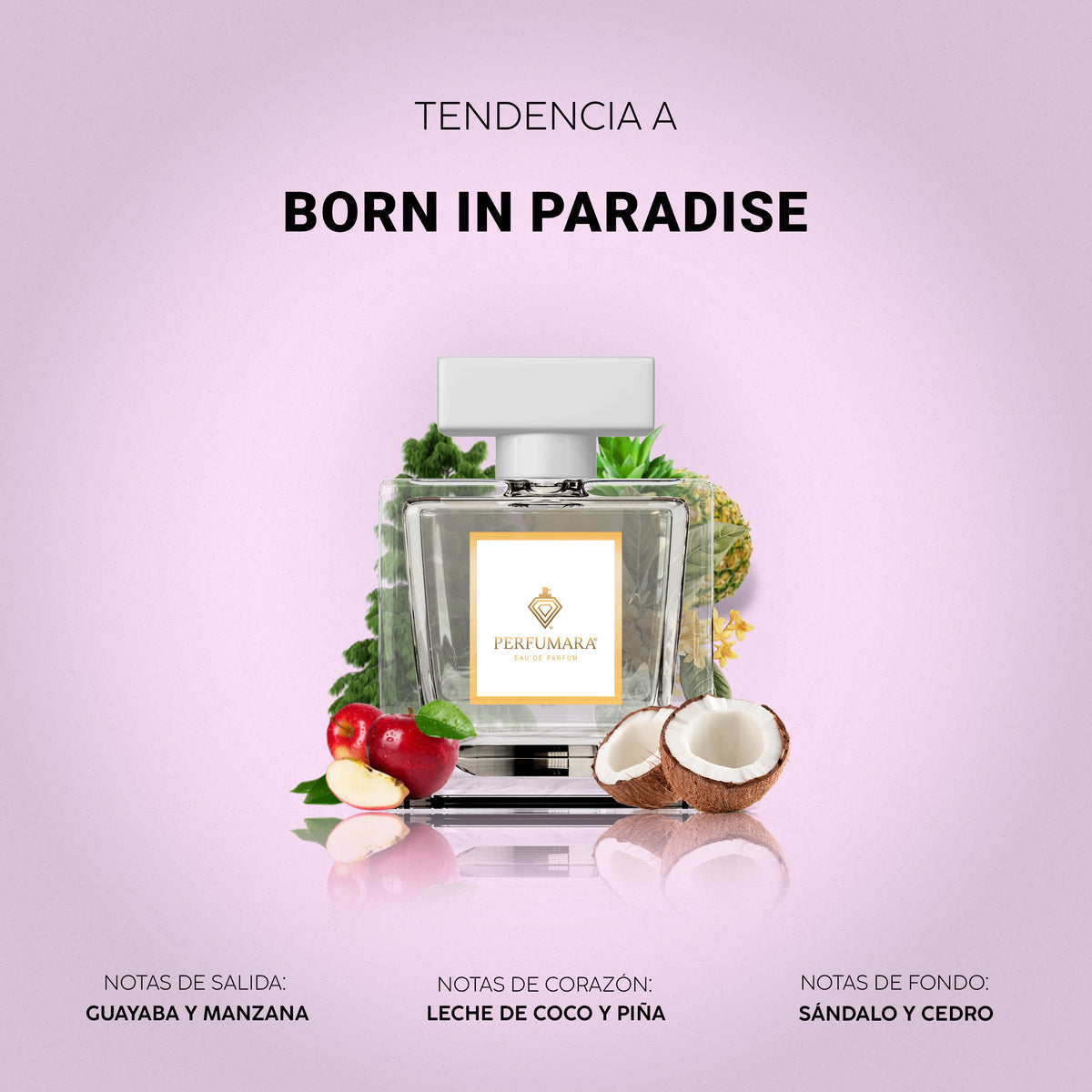 Tendencia a Born in Paradise