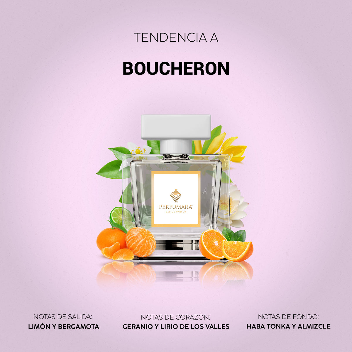 Tendencia a Boucheron